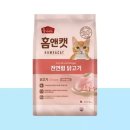 홈캣 쇼핑하우