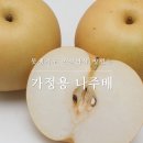 판매종료 // 나주배(선물용,가정용) // 14브릭스이상~ 한라봉 // 당도 좋은 대추방울 토마토 이미지