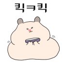 노드커피NODD