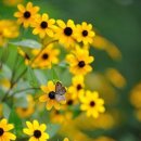 행복flowershop