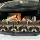 양산로 | 영등포 세차 추천 <굿디테일> 만족 후기(내돈내산)