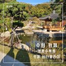 [수원 카페] 영흥 수목원 구경하기 좋은 카페 버터플라이 방문 후기