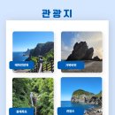 여행사 봄