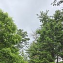 중기마을세천 | 엘도라도의 산행기, 내변산 산행(전북부안), 내변산 힐링코스 내소사 전나무숲길, 관음봉에서 세봉까지...
