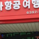 봄꽃힐링투어 이미지