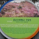 제8회차:밀양,종남산 (663m) - 진달래. 유채꽃 이미지