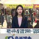 사우로 R 이미지