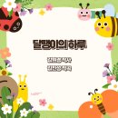 미동태권도 | [초등] 양구 초롱 동요제 참가 곡선정 준비사항 심사기준 수상 후기