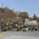 대공원치안센터 이미지