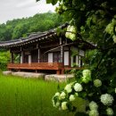 의성금파정 이미지