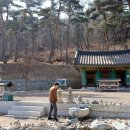 쌍계사수목장림 네이버블로그