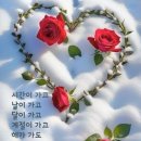 Sarah McLachlan - Angel / A Whiter Shade of Pale 이미지