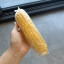 아삭하고 달콤한 여름간식 다채움푸드 제주산 초당옥수수 구매 후기
