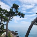 송대민박 | 경주 바다와 등대가 어울어진 드라이브코스 스노쿨링 명소 송대말등대