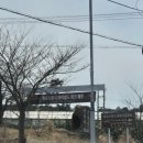 애월의온도 | 제주 애월 가볼만한곳｜"파호이호이 라바필드 파크" 3월 무료입장 후기 제주 서쪽 여행코스 추천