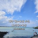 표선면 표선리 777-10 | 제주 에메랄드빛 해수욕장 추천 표선해수욕장 (샤워장 솔직 후기)