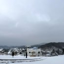 실버벨09