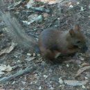 도봉산입구 이미지