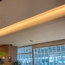 위드미충주리첼점 | 2025. 4. 4. (금) 스카이허브 라운지 동편 / SSSS 탑승권 / 미국 입국심사 세컨더리룸 다녀온 썰 푼다