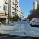 아산동물의료센터 이미지