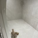 도글로리 | [회기역 애견호텔] 미용부터 호텔까지 완벽했던 도글로리 방문후기!