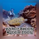 거북 | 보라카이스쿠버다이빙 케삼다이브 바다거북 펀다이빙 후기