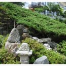 윤수농장 이미지