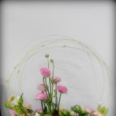 두암초등학교 이미지