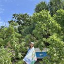 SEA-ONE 인터내셔날 | 필리핀 이트래블 입국 신고서 작성방법 입국심사