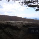 연정상사