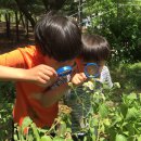 중원초교 이미지