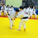 동아대 유도클럽 이미지