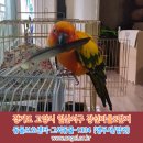 강선마을(중) 이미지