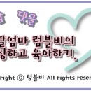 줌마델라