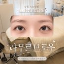 힘디자인 | 달동속눈썹펌 맞춤 디자인 대만족 후기 '라무르브로우'