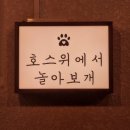 호스위 이미지