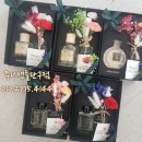 주니캔들 이미지