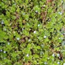 강창학공원 이미지