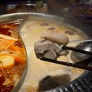 [중국/상해] 난징동루 훠거 맛집 충칭 가오라오지우 훠궈 (重庆高老九火锅)