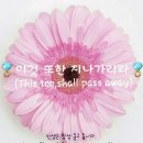 비바체 이미지