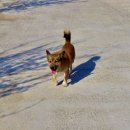 사신보건진료소 이미지