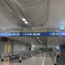 캐리 | 인천공항 제1터미널 짐 외투 보관 추천 짐캐리 서비스 후기