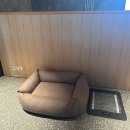 비발디150 | 비발디파크 펫 홍천 소노펫 이용 후기