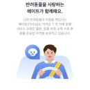 남부켄넬 | 카카오택시강아지 탑승 후기 예약 방법 가격 주의사항