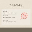 댄의원 이미지