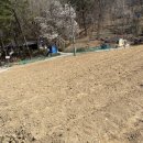 상내농장 | 똑똑하게 고구마 재배하기