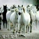 골목담배
