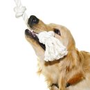 지수동물병원 이미지