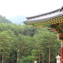 흥령선원지 이미지