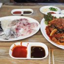 새천년목장 Daum카페